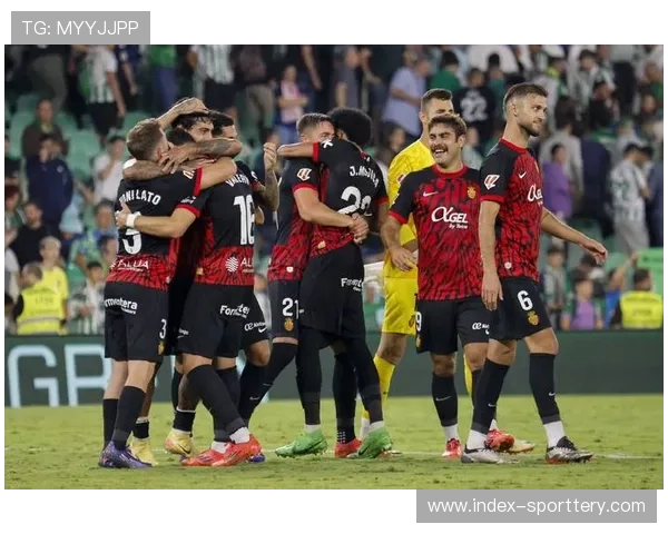 【西甲联赛·非赛事·法律》球迷组织起诉黄牛党，法院支持透明购票系统